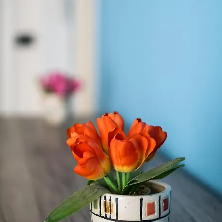 Vicino Al Parco Della Montagnola By Wonderful Italy 公寓 *