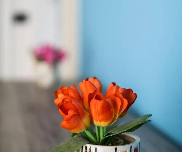 Lejlighed Vicino Al Parco Della Montagnola By Wonderful Italy