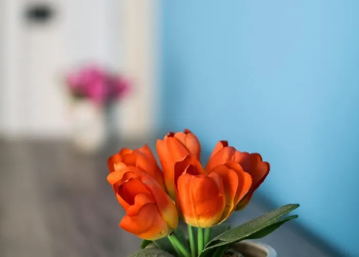 Vicino Al Parco Della Montagnola By Wonderful Italy 아파트 *